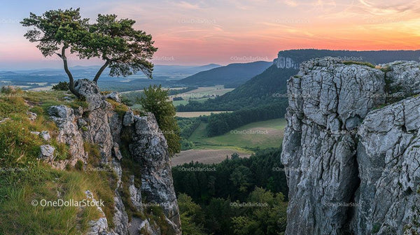 Majestic Pine on Rocky Cliff at Sunset with Expansive Valley View