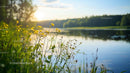 Yellow Wildflowers at Sunset by a Tranquil Lake