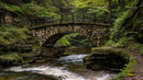 Stone Bridge Over Tranquil River in Lush Woodland