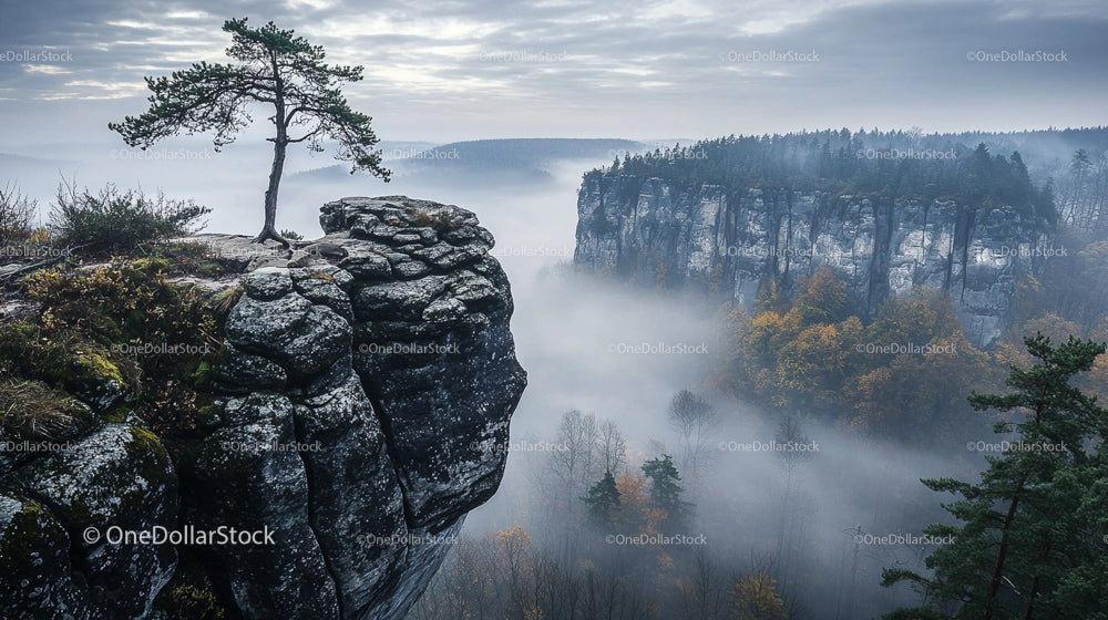 Misty Rocky Cliff with Lone Tree and Forest in Autumn Colors