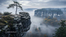Misty Rocky Cliff with Lone Tree and Forest in Autumn Colors