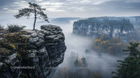 Misty Rocky Cliff with Lone Tree and Forest in Autumn Colors