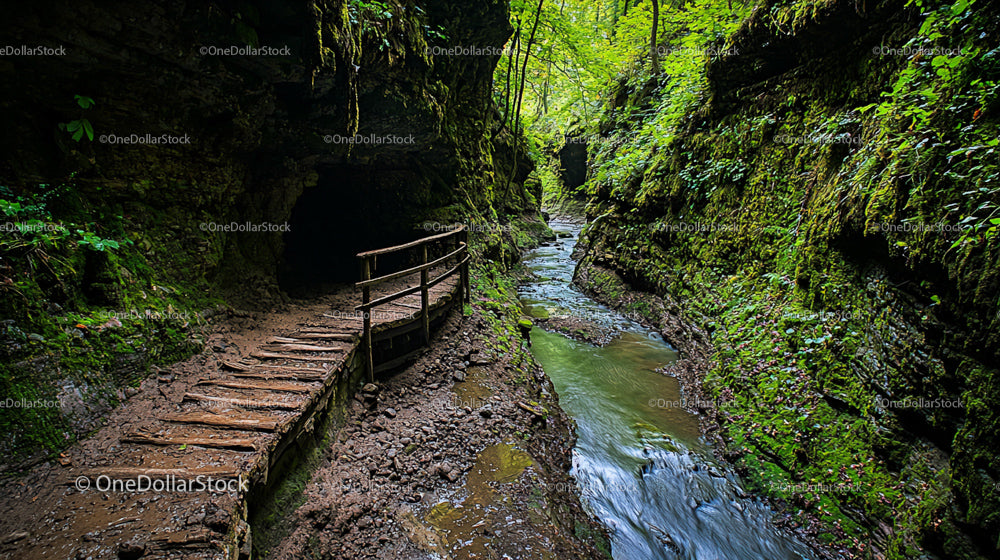Mossy Canyon with Wooden Path and Tranquil Stream