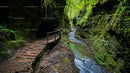 Mossy Canyon with Wooden Path and Tranquil Stream