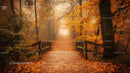 Enchanting Autumn Pathway through Misty Forest