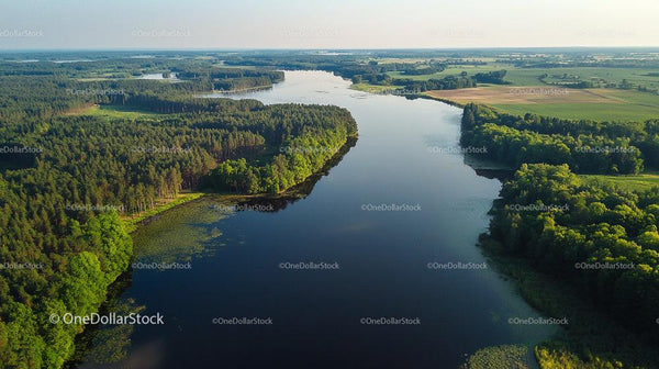 Widok z lotu ptaka na spokojną rzekę płynącą przez bujny zielony las