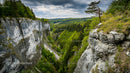 Dramatic Cliffs and Lush Forest Under Overcast Skies