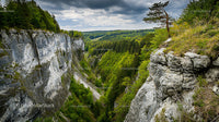 Dramatic Cliffs and Lush Forest Under Overcast Skies