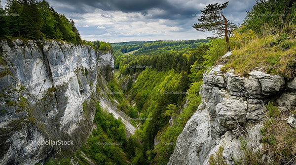 Dramatic Cliffs and Lush Forest Under Overcast Skies