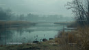 Misty Morning Over Serene Wetland with Bare Trees and Reeds