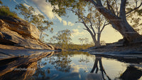 Peaceful River Scene with Towering Trees and Rocky Terrain