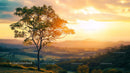 Solitary Tree Against a Stunning Sunset Horizon