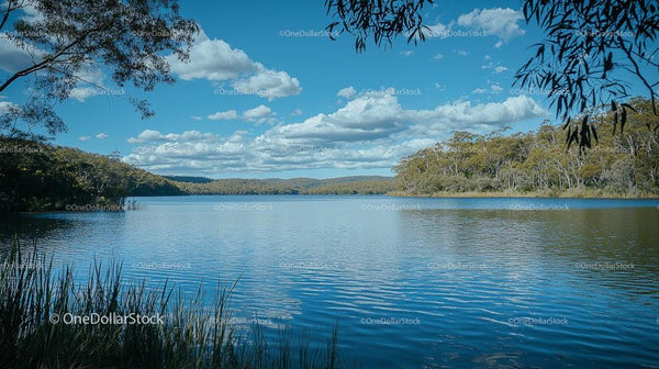 Tranquil Lake with Fluffy Clouds and Forested Hills