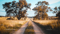 Tranquil Country Road with Golden Fields and Autumn Trees