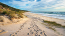 Picturesque Sandy Beach with Rolling Waves and Grassy Dunes