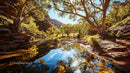 Sunlit Riverbank with Eucalyptus Trees and Reflections