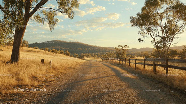 Golden Hour on a Serene Country Road in Rural Landscape