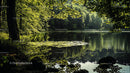 Tranquil Lake Surrounded by Lush Green Forest Foliage