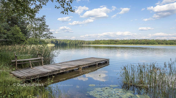 Spokojne Jezioro z Drewnianym Pomostem i Bujną Zielenią