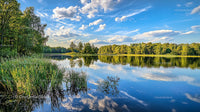 Tranquil Lake with Forest Reflection and Clear Sky