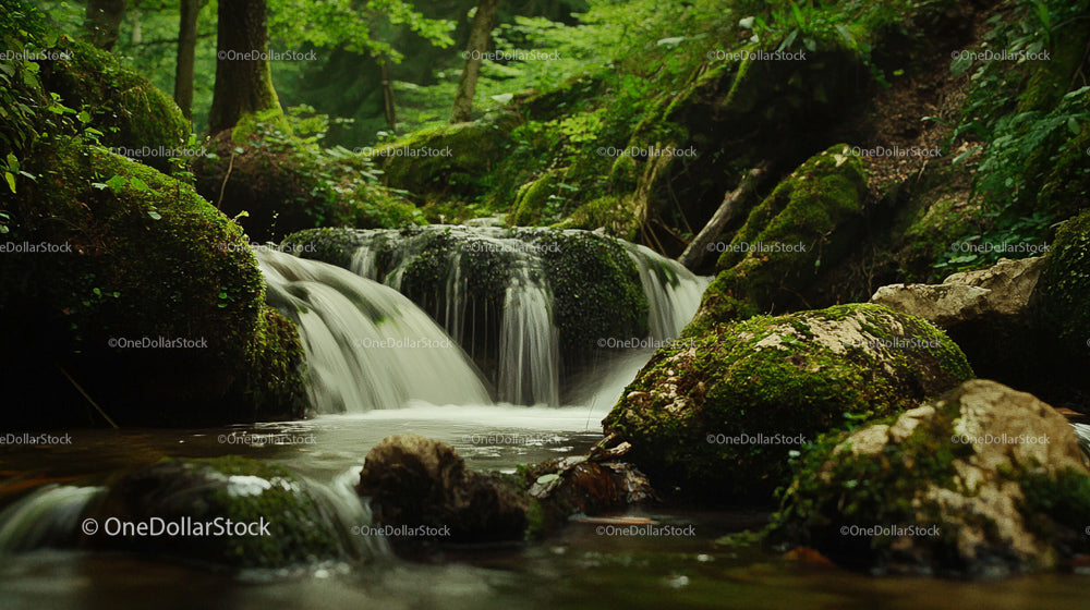 Tranquil Forest Stream with Moss-Covered Rocks