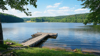 Serene Lake with Wooden Dock and Lush Green Forest