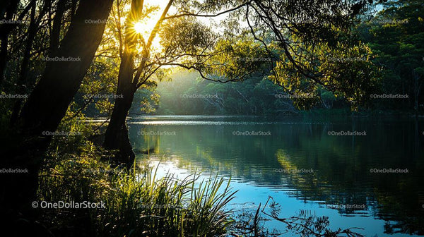 Sunset Glow Over Tranquil Lake with Forest Backdrop