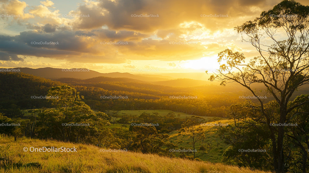 Golden Sunset Over Green Hills and Silhouetted Trees
