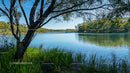 Tranquil Lake with Lush Greenery and Reflective Waters