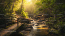 Sunlit Forest Path with Wooden Bridge and Tranquil Stream