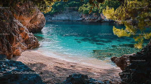 Secluded Turquoise Bay with Rocky Shores and Pine Trees