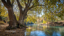 Tranquil Riverside Scene with Lush Autumn Foliage
