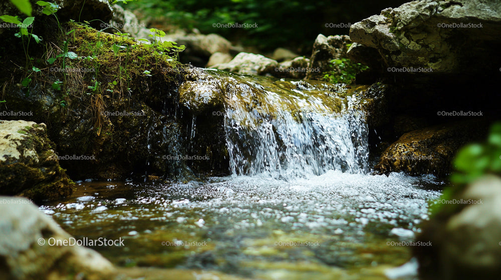 Small Waterfall Cascading Over Rocks in a Forest Stream