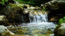 Small Waterfall Cascading Over Rocks in a Forest Stream