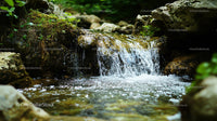 Small Waterfall Cascading Over Rocks in a Forest Stream