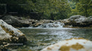 Tranquil River Flowing Through Lush Green Forest