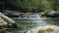 Tranquil River Flowing Through Lush Green Forest