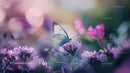 Butterfly Resting on Purple Flowers in a Dreamy Meadow