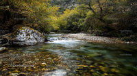 Tranquil Forest River with Autumn Foliage and Clear Waters