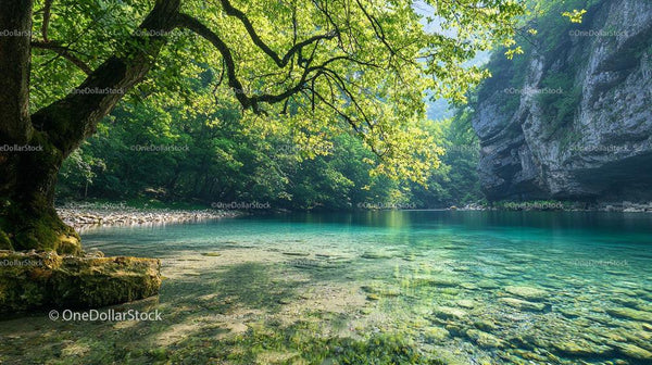 Tranquil Riverside Oasis with Crystal Clear Waters