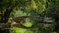 Stone Bridge Over Tranquil Greenery-Lined River Scene