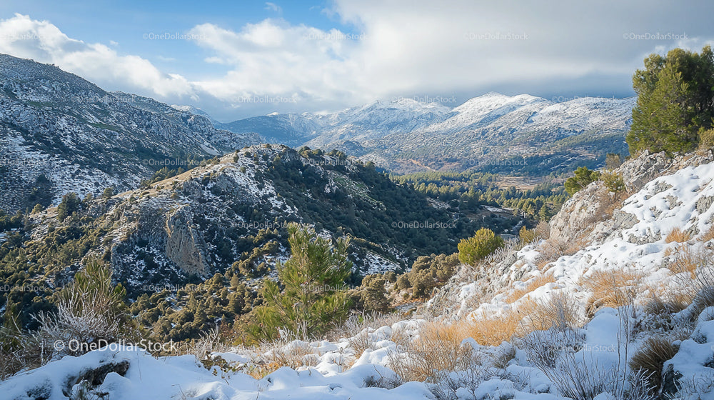 Snow-Capped Mountains and Lush Green Valleys in Winter