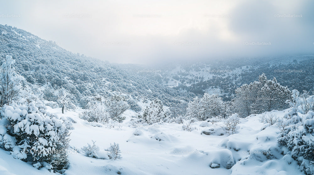 Serene Snow-Covered Mountain Landscape with Frosted Trees