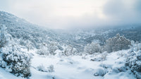 Serene Snow-Covered Mountain Landscape with Frosted Trees