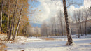 Serene Winter Landscape with Snow-Covered Birch Trees