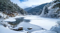 Serene Winter Landscape with Snow-Covered Trees and Icy River