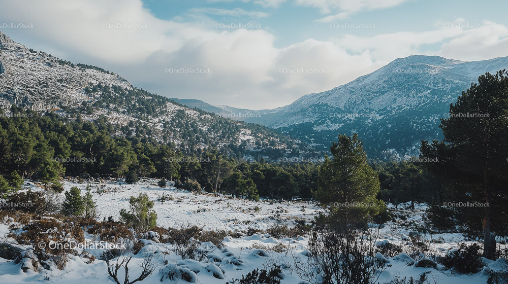 Snowy Mountain Landscape with Evergreen Forest