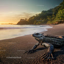 Iguana Resting on Tropical Beach at Sunset