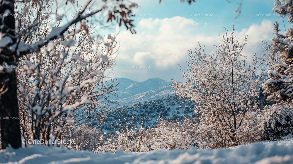 Serene Snowy Landscape with Mountains and Bare Tree Branches