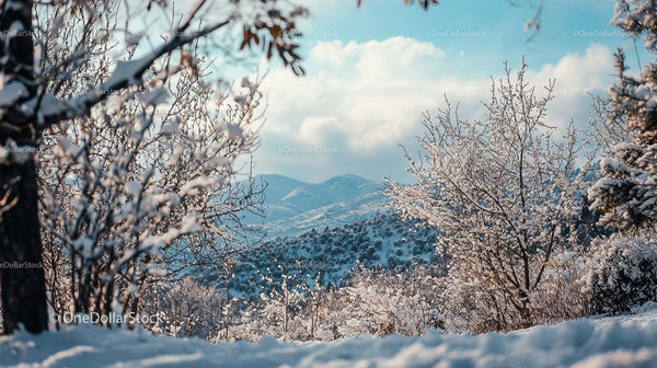 Serene Snowy Landscape with Mountains and Bare Tree Branches